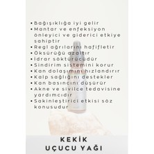 Troya No.17 Kekik Uçucu Yağı  Doğal ve Seyreltilmemiş 20 ml