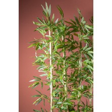 140 cm Bambu Seperatör