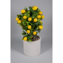 Düz Beyaz Beton Saksıda Yapay Limon Ağacı