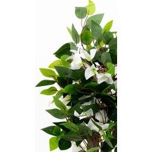 Taş Detaylı Beyaz Renkli Saksıda 60 cm Yapay Begonvil Ağacı