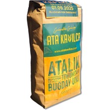 Atalık Tohumdan Kavılca Buğday Unu - Kepekli