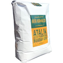 Atalık Tohumdan Kavılca Buğday Unu - Kepeksiz