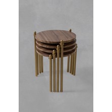 Veys Sehpa 4'Lü Flora Zigon Sehpa