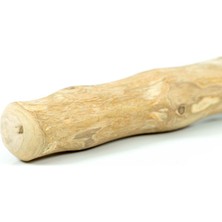 Gloria Köpek Oyuncağı Gloria Stick Xs Chewy Wood (1 Adet) (Yurt Dışından)