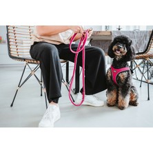 Hunter Köpek Koşum Takımı Hunter Comfort Fuşya Xxs 26-30 cm (Yurt Dışından)