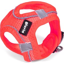 Gloria Köpek Tasması Gloria Air Mesh Star Pembe Beden Xxs (24-26 Cm) (Yurt Dışından)