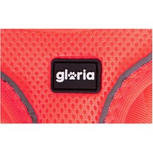 Gloria Köpek Tasması Gloria Air Mesh Star Pembe Beden Xxs (24-26 Cm) (Yurt Dışından)