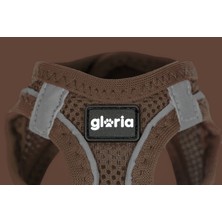 Gloria Köpek Tasması Gloria 31-34,6 cm Kahverengi S 27-28 cm (Yurt Dışından)