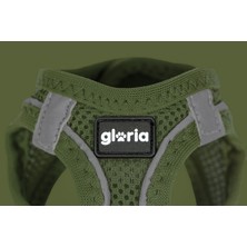 Gloria Köpek Tasması Gloria 31-34,6 cm Yeşil Xs 27-28 cm (Yurt Dışından)