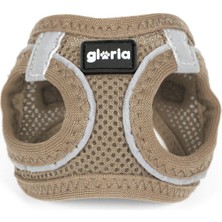 Gloria Köpek Tasması Gloria 41,4-43 cm Bej M 29,4-32,6 cm (Yurt Dışından)