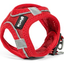 Gloria Köpek Tasması Gloria Trek Star 32,8-35,4 cm 45-47 cm Kırmızı M (Yurt Dışından)