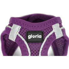 Gloria Köpek Tasması Gloria Trek Star 24-26 cm 28-28,6 cm Mor Xxs (Yurt Dışından)