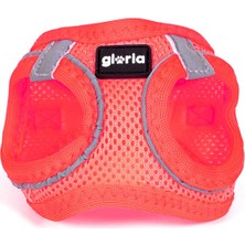 Gloria Köpek Tasması Gloria Trek Star 29,4-32,6 cm 41,4-43 cm Pembe S (Yurt Dışından)