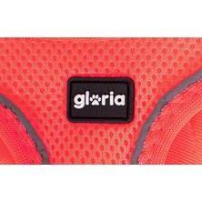 Gloria Köpek Tasması Gloria Trek Star 29,4-32,6 cm 41,4-43 cm Pembe S (Yurt Dışından)