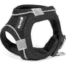 Gloria Köpek Tasması Gloria Air Mesh Trek Star Ayarlanabilir Siyah Beden Xxxs (18-20 Cm) (Yurt Dışından)