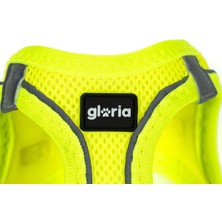 Gloria Köpek Tasması Gloria Trek Star 29,4-32,6 cm 41,4-43 cm Sarı S (Yurt Dışından)