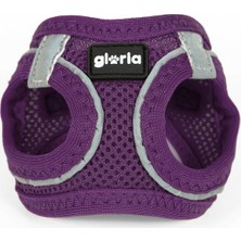 Gloria Köpek Tasması Gloria Air Mesh Trek Star Ayarlanabilir Mor Beden Xxxs (18-20 Cm) (Yurt Dışından)