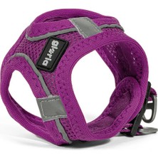 Gloria Köpek Tasması Gloria Air Mesh Trek Star Ayarlanabilir Mor Beden Xxxs (18-20 Cm) (Yurt Dışından)