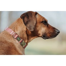 Hunter Köpek Tasması Hunter Kırmızı 40-55 cm L (Yurt Dışından)