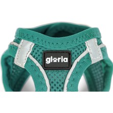 Gloria Köpek Tasması Gloria Trek Star 24-26 cm 28-28,6 cm Turkuaz Xxs (Yurt Dışından)