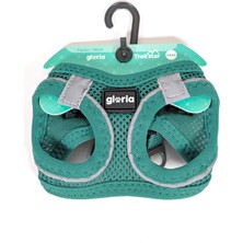 Gloria Köpek Tasması Gloria Trek Star 24-26 cm 28-28,6 cm Turkuaz Xxs (Yurt Dışından)