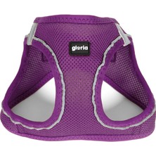 Gloria Köpek Tasması Gloria Trek Star 32,8-35,4 cm 45-47 cm Mor M (Yurt Dışından)