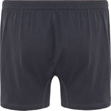 Steve Wolls Erkek Antrasit 3’Lü Penye Boxer - 23702