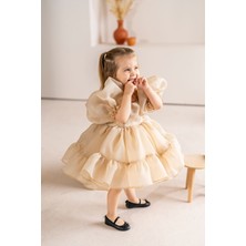 Linola Baby Kids Puffy Şifon Kız Çocuk Parti Elbisesi