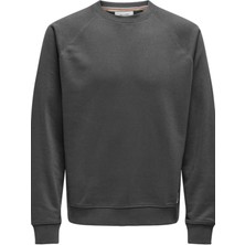 Onsmıchı Lıfe Reg Crew Neck Sweat Gri 22030618