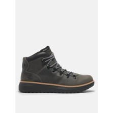 Timberland Bot