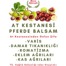 At Kestanesi Balsamı Damar Tikanıklığı Pferde Balsam Masaj Jeli 500 ml