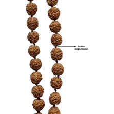 Pozitif Doğal Taş Rudrakşa 54 Taneli Yarım Mala Unisex Kolye Tesbih Hindistan Rudraksha 101YM
