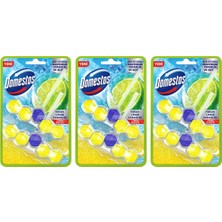 Domestos Tuvalet Bloğu Limon Bahçesi 3 x 100 gr