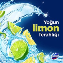 Domestos Tuvalet Bloğu Limon Bahçesi 3 x 100 gr