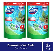 Domestos Tuvalet Bloğu Çam Ormanı 5'li Güç 2 x 250 gr