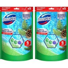 Domestos Tuvalet Bloğu Çam Ormanı 5'li Güç 2 x 250 gr