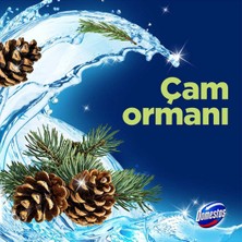 Domestos Tuvalet Bloğu Çam Ormanı 5'li Güç 2 x 250 gr