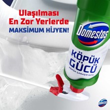 Domestos Köpük Gücü Köpük Çamaşır Suyu Çam Ferahlığı 450 ml x1