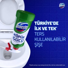 Domestos Köpük Gücü Köpük Çamaşır Suyu Çam Ferahlığı 450 ml x1