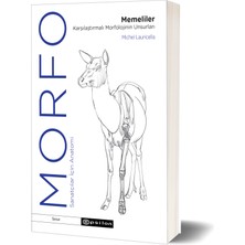 Morfo - Memeliler Karşılaştırmalı Morfolojinin Unsurları - Michel Lauricella