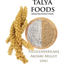 Glutensiz Filizlendirilmiş Ak Darı Unu 1 kg