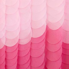 Ginger Ray - Backdrop Tissue Paper Discs Pink Ombre