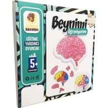 İhvan Online Beynimi Öğreniyorum Ahşap Puzzle - Çocuk Yapboz - 5 Yaş ve Üzeri Eğitime Yardımcı Oyuncak