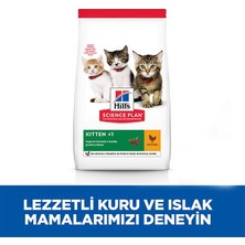 Hills Kitten Tavuklu Yavru Kedi Maması 1.5 kg