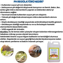 ® pH Regülatörü & pH Düşürücü 5 LT - Su Kalitenizi Artırın!