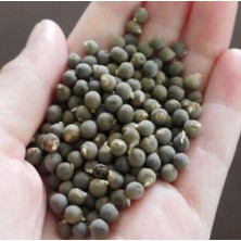 Bamya Tohumu 1 KG.(1000 Gr.)
