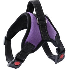 ANS Köpek Göğüs Tasması Xs  Mor