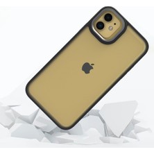 noktaks - Apple iPhone 11 - Kılıf Arkası Şeffaf Kamera Çevresi Parlak Zıt Renkli Flora Kapak - Siyah