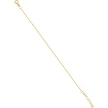 17 cm Uzunluğunda 925 Ayar Gümüş Kadın Altın Renk Ek Zincir