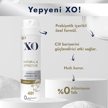 Xo Deodorant Natural & Effective 150 ml x 4 adet